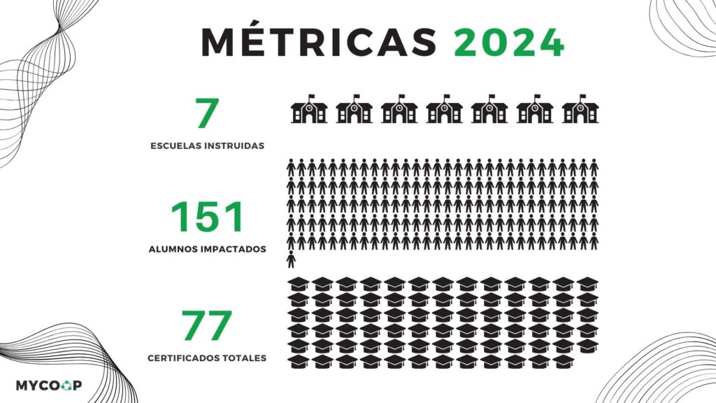 mÉtricas 2024