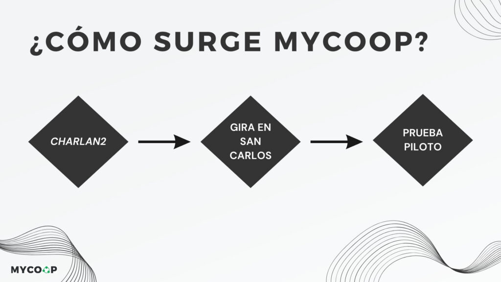 ¿Cómo surge mycoop?